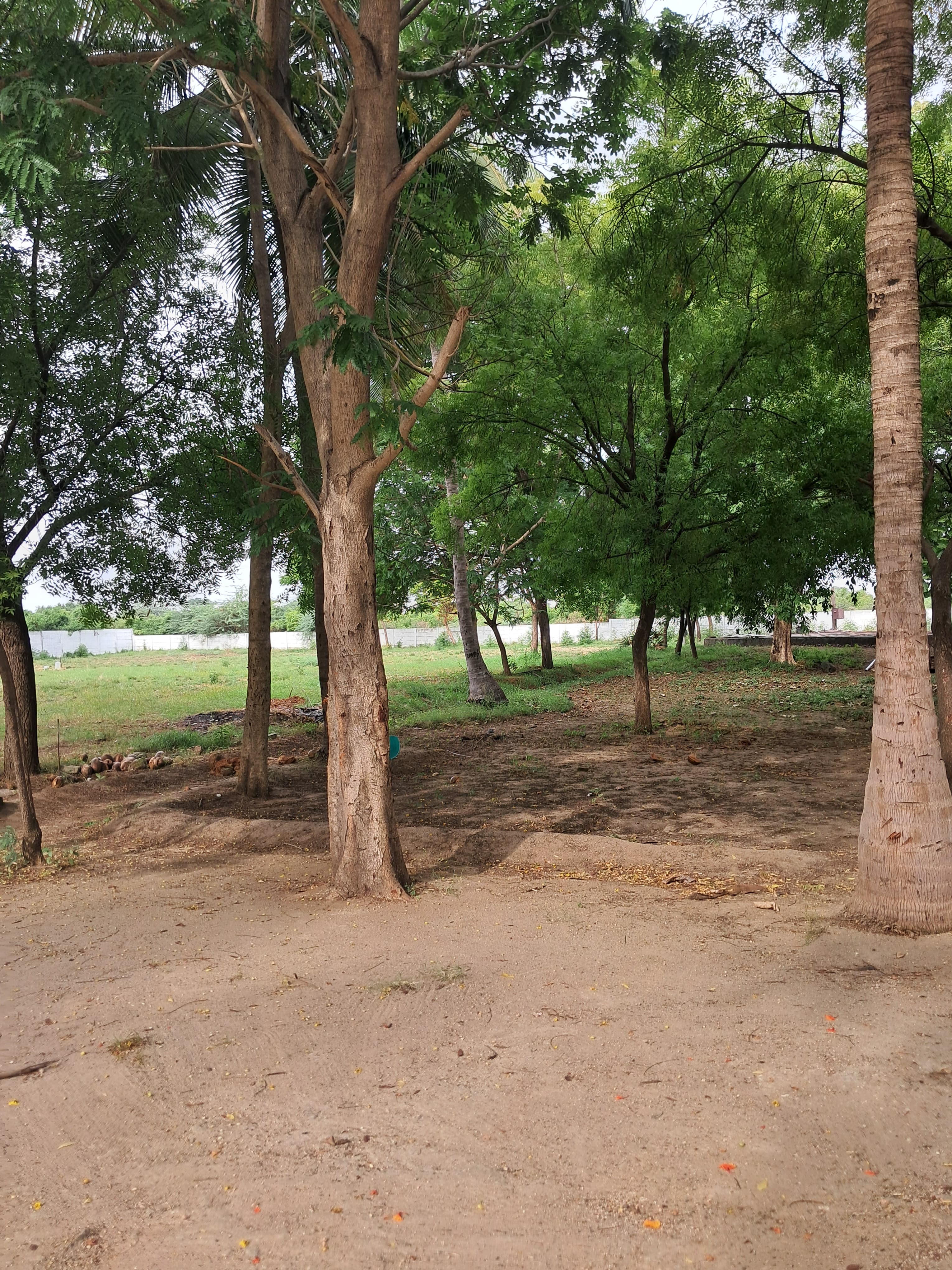 Home img 20250705 wa0030