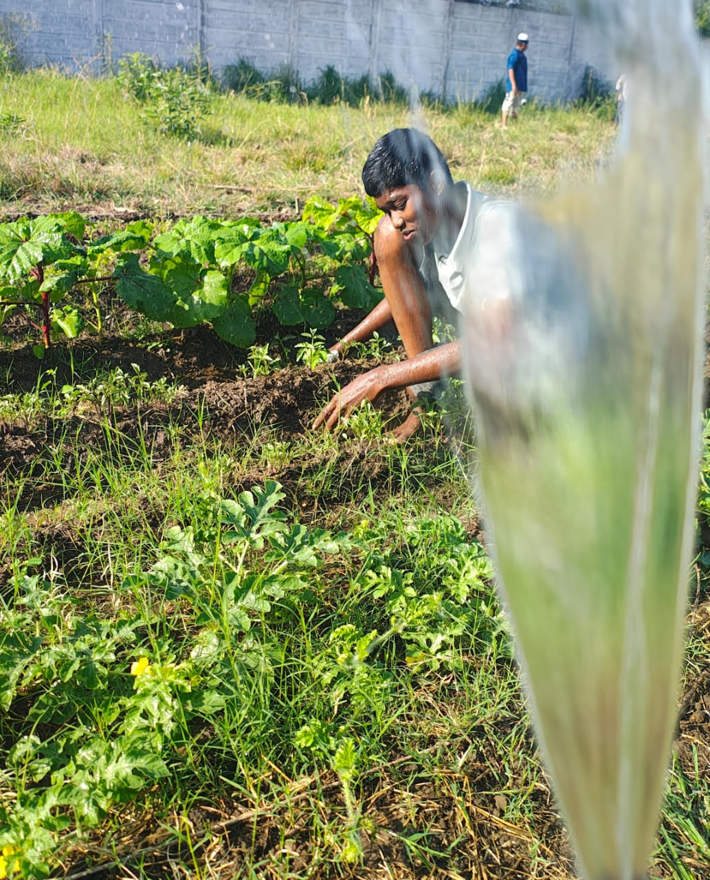 Home img 20250729 wa0001