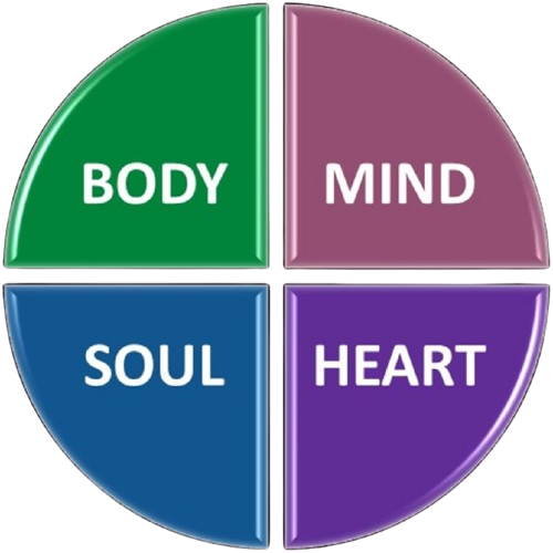 whatsapp image 2025 07 05 at 14.07.42 7ff2a50c removebg preview